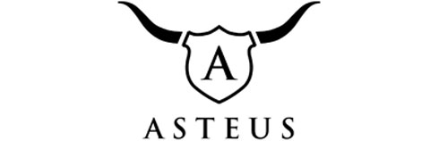 ASTEUS
