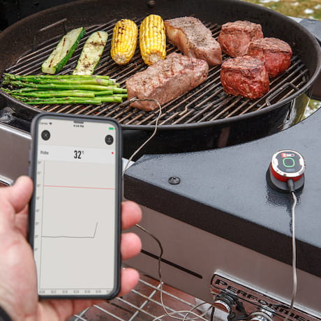 Der Temperaturfühler iGrill mini von Weber