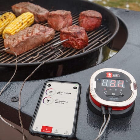 Der Temperaturfühler iGrill 2 von Weber