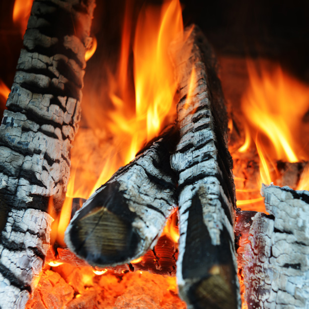 Blog Den Weihnachtsbaum im Kaminofen verbrennen