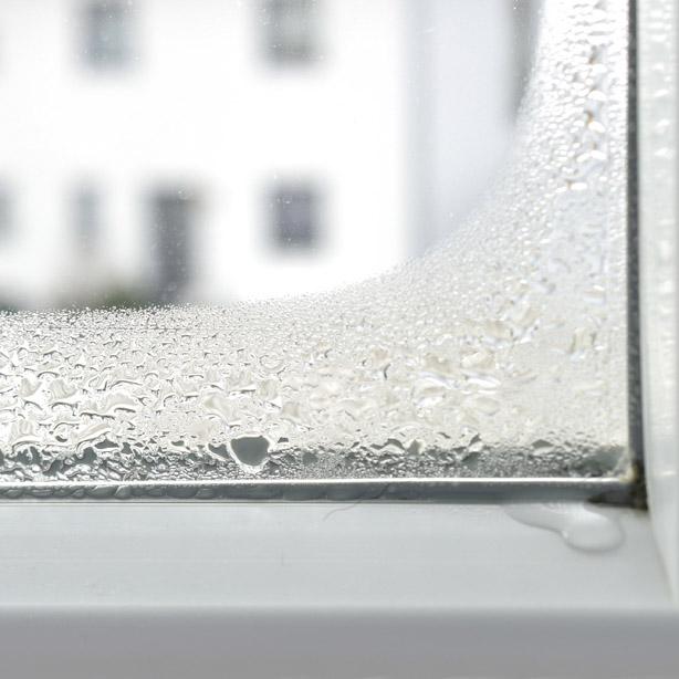 Kondenswasser am Fenster - Richtig Heizen und Lüften - Adobe Stock 76756647
