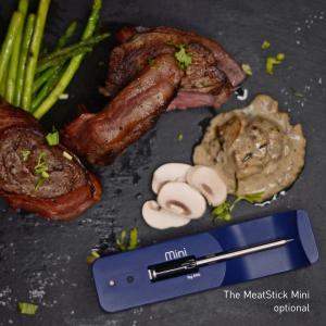 The MeatStick Mini zusätzliches Ladegerät mit Bluetooth Xtender