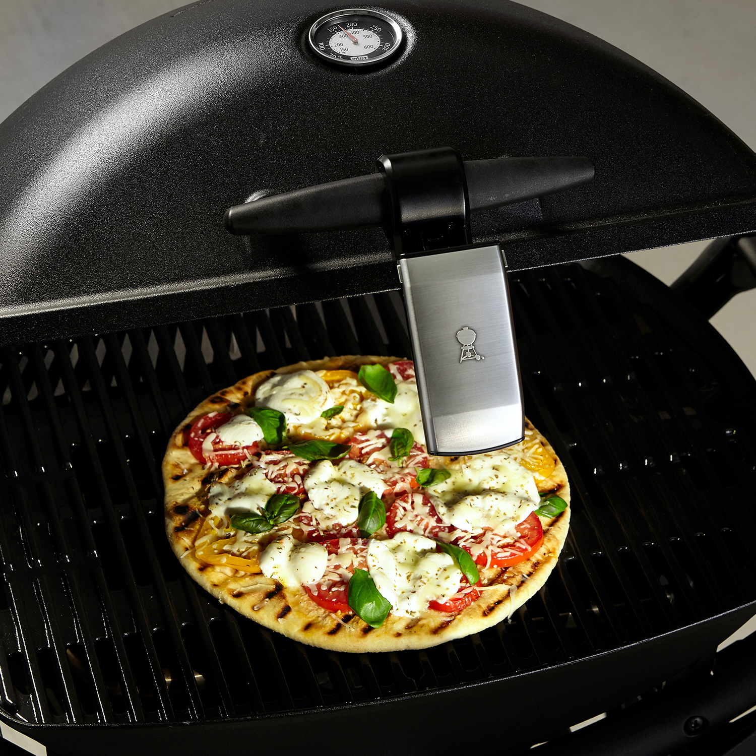 Weber Grifflicht für Q-Serie Weber Grifflicht für Q-Serie