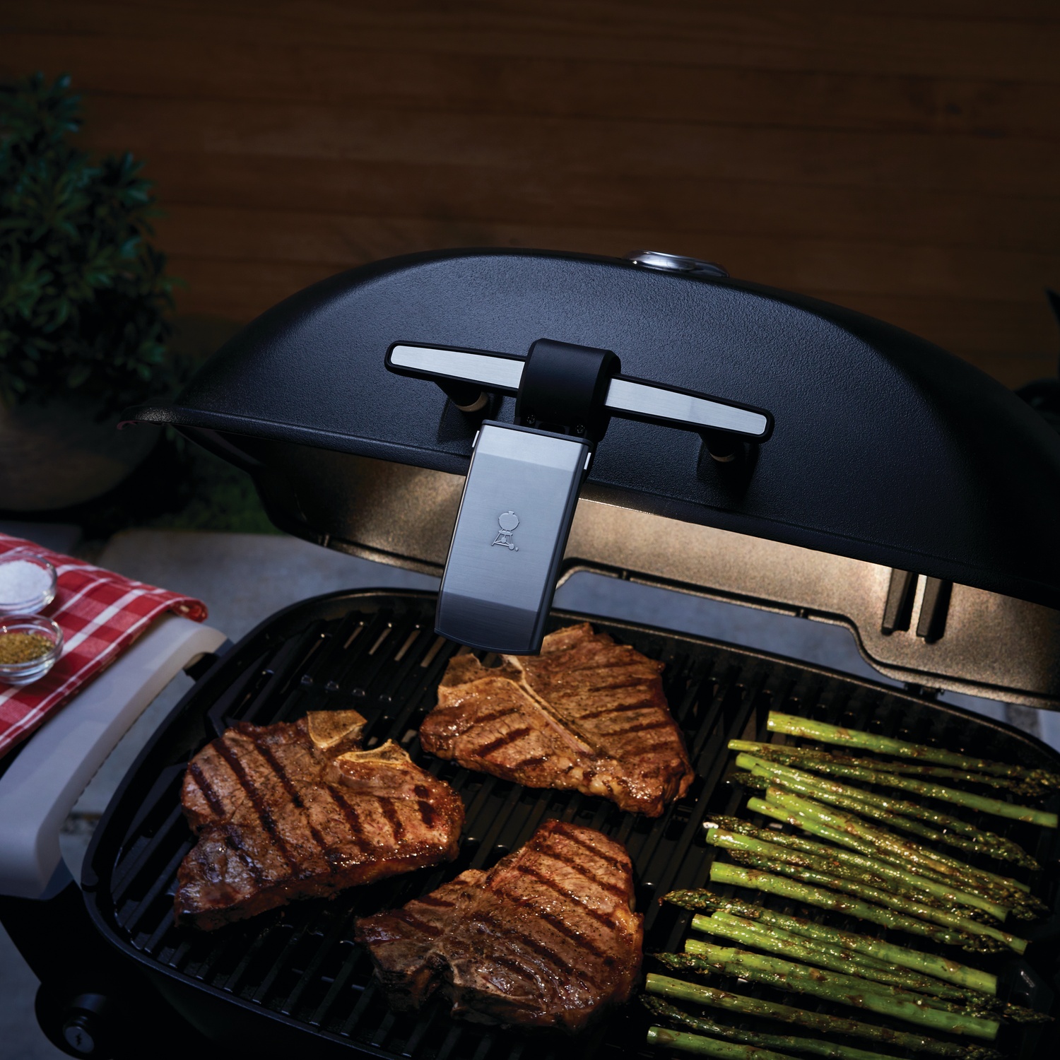 Weber Grifflicht Grill n go für Weber Q1000N- und Q2000N-Serie