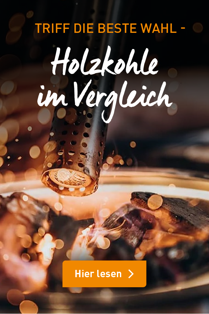 holzkohle-im-vergleich