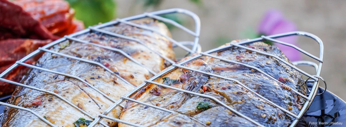 Teaserbild_Fisch-grillen