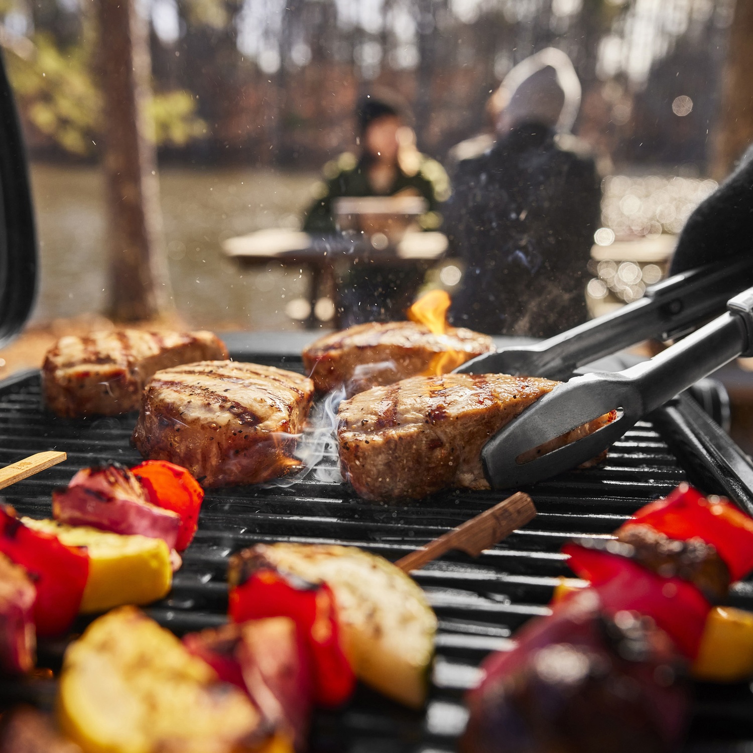 Weber Traveler Compact Gasgrill