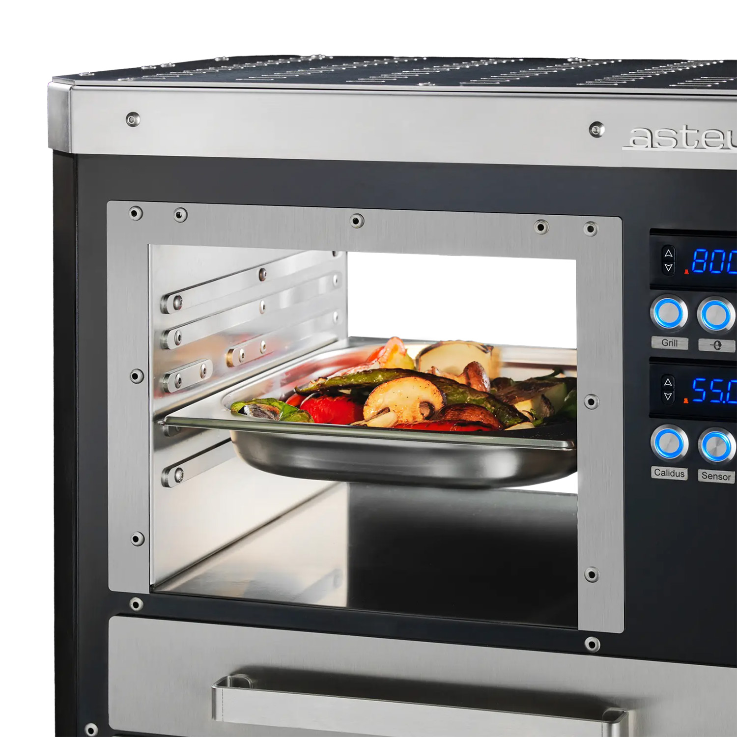 Asteus Segula 800° Lifestyle Elektrogrill schwarz emailliert