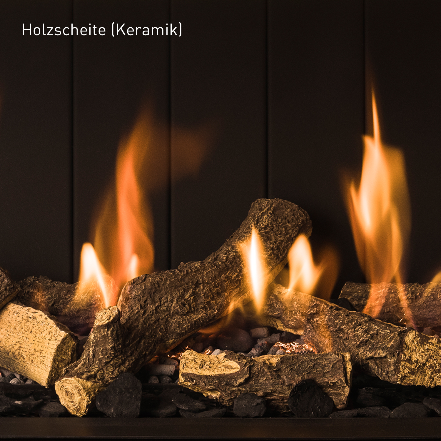 Trimline Fires Trimline 83 Panorama Gas Kamineinsatz G20