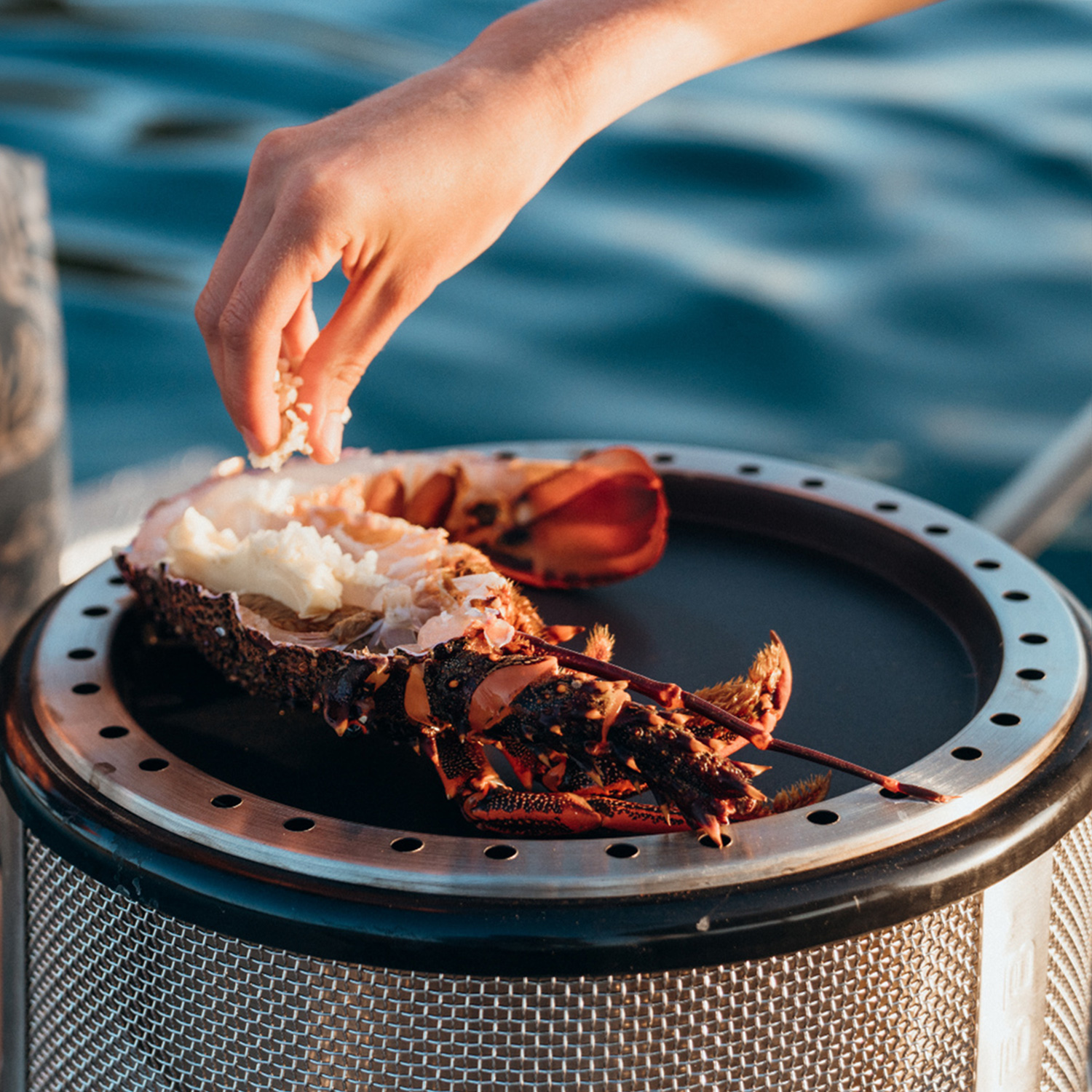 Cobb Pfanne für Cobb Grill Premier+, Air und Gas