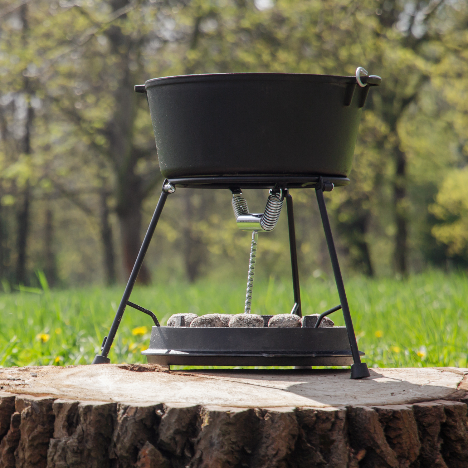 Petromax Holzkohlegrill pro-ft