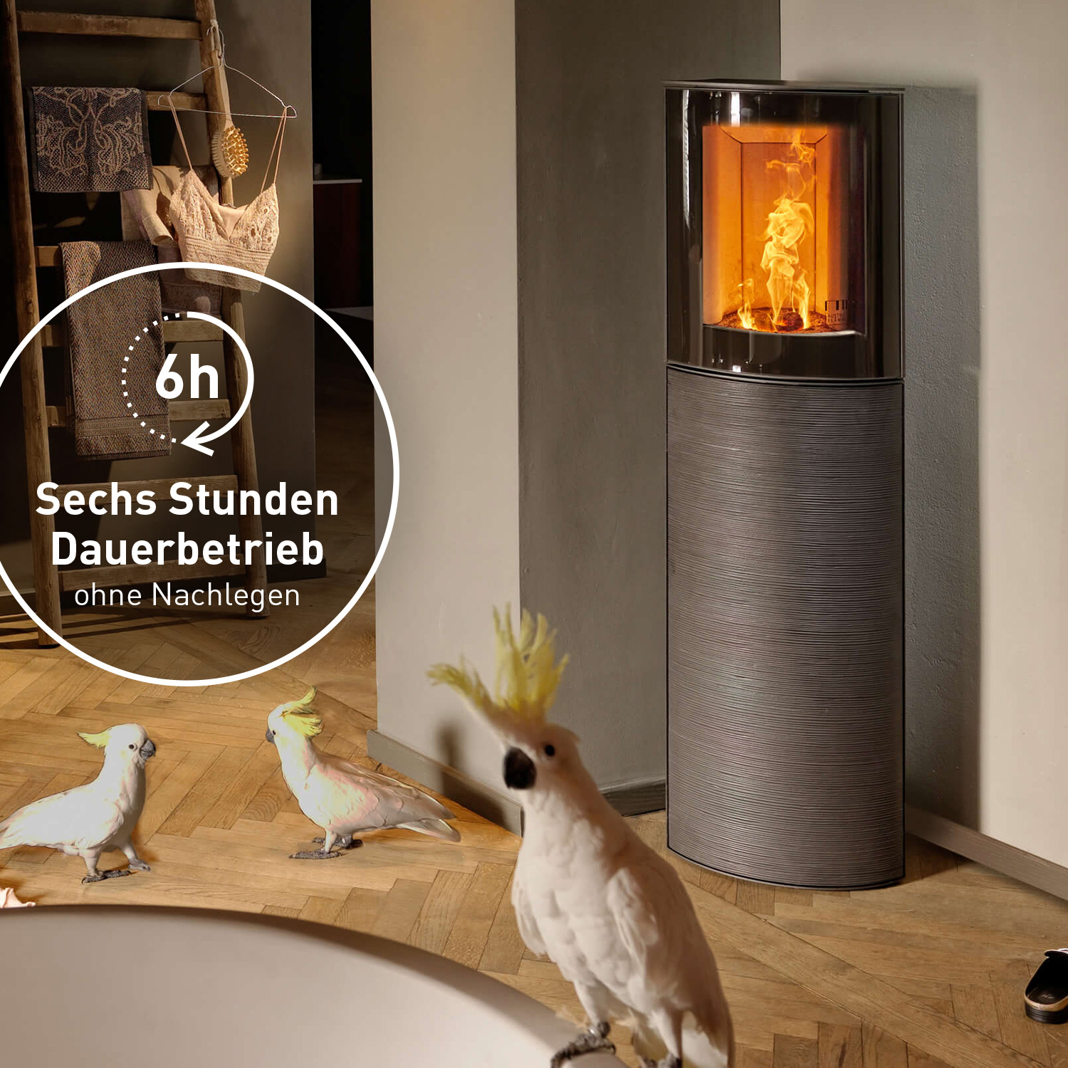 Austroflamm Mr. Wu Brikettofen Stahl Schwarz / Keramikfront Rille Schwarz Austroflamm Mr. Wu Brikettofen Stahl Schwarz / Keramikfront Rille Schwarz