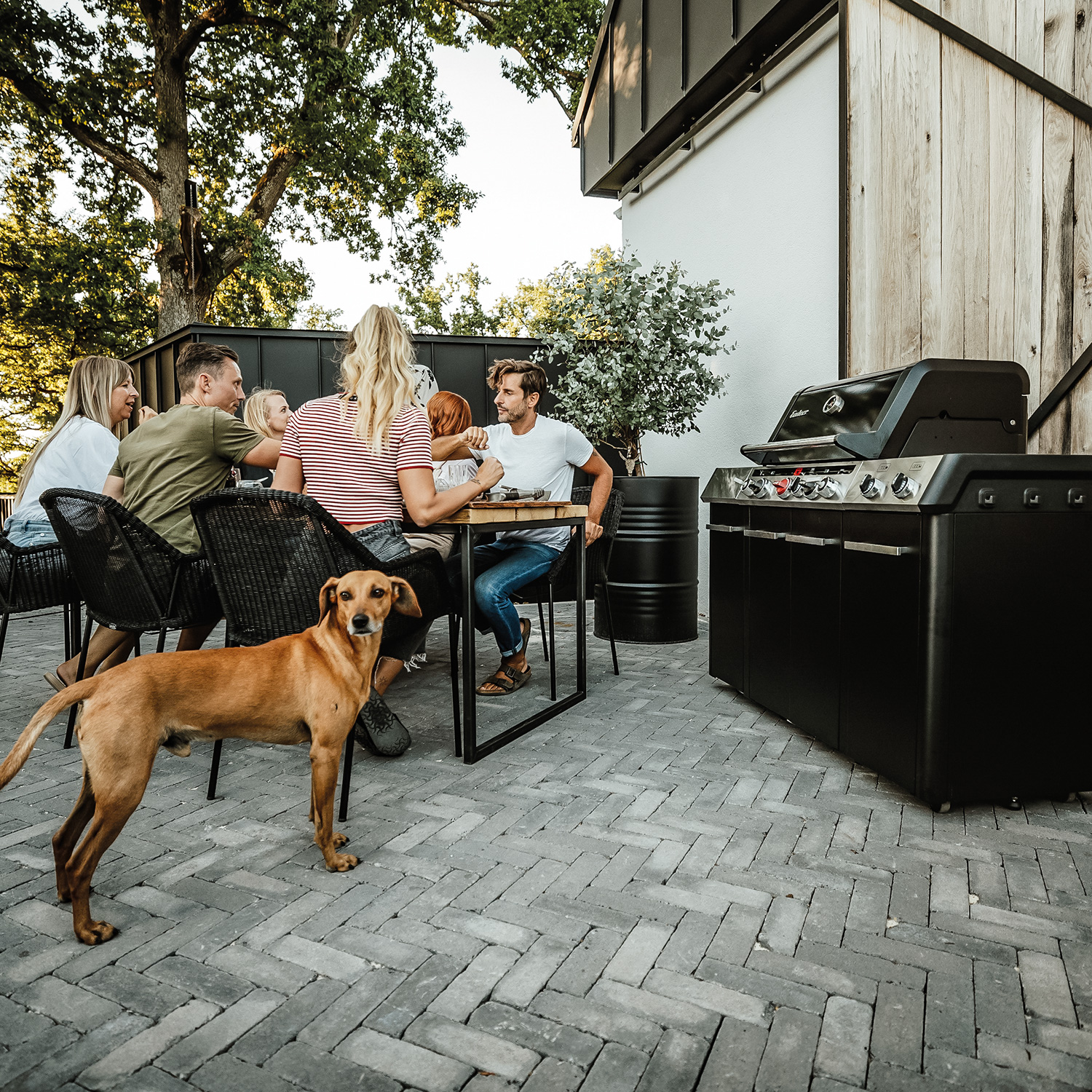 Enders Uniq Pro 3 IK Kitchen Cruster Gasgrillstation