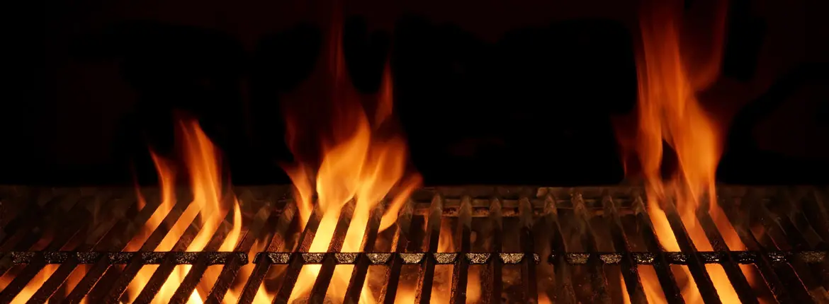 Blog Die Kunst, mit Mais und Oliven Feuer zu machen – Alternativen zu herkömmlicher Grillkohle