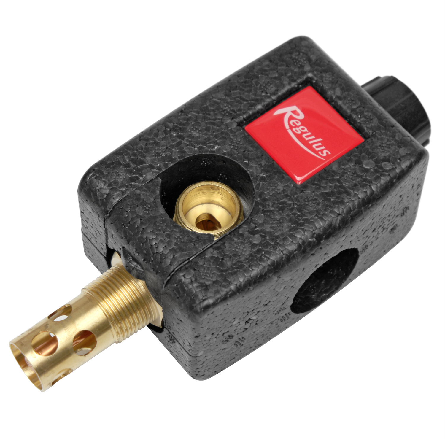 Thermische Ablaufsicherung Regulus Thermostatisches Ventil DBV-1 Thermische Ablaufsicherung Regulus Thermostatisches Ventil DBV-1
