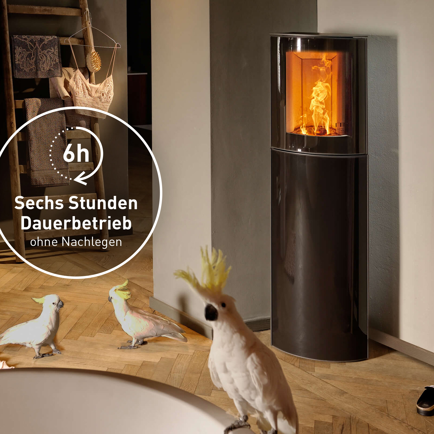 Austroflamm Mr. Wu Brikettofen Stahl Schwarz / Glasfront Austroflamm Mr. Wu Brikettofen Stahl Schwarz / Glasfront