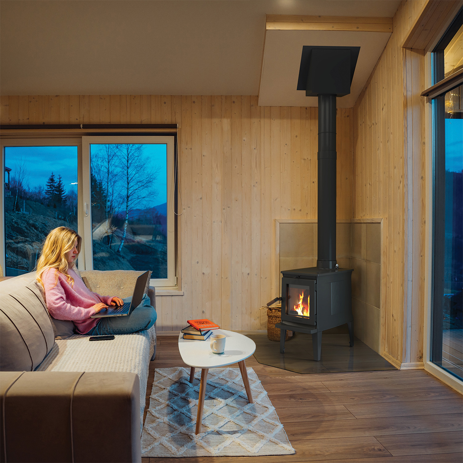 Hergom E20 Green Mountain Kaminofen Gusseisen schwarz Hergom E20 Green Mountain Kaminofen Gusseisen schwarz