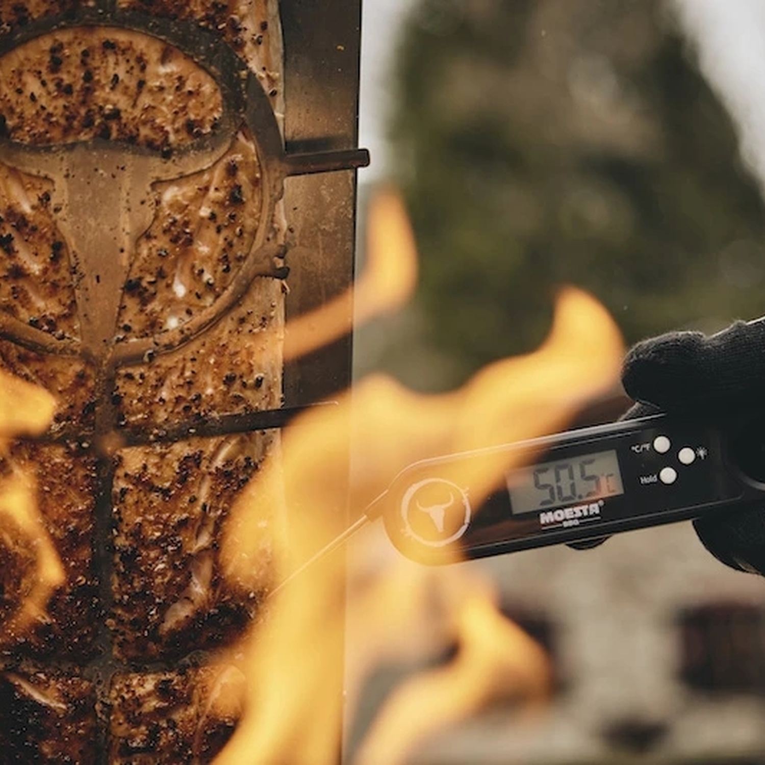Moesta FlameBoard Flammlachsbrett Edelstahl für Bandit / Kugelgrill