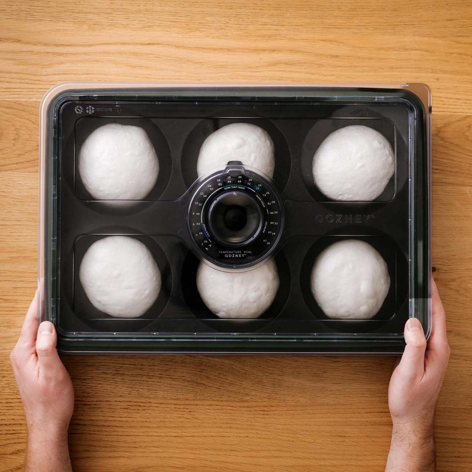 GOZNEY Ballen Box