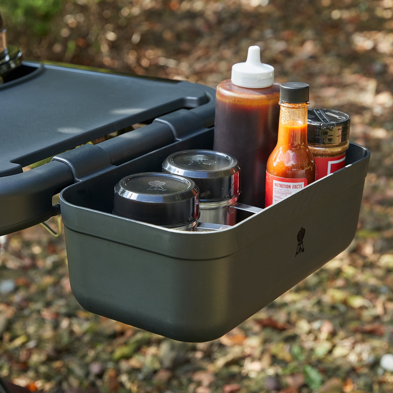 Weber Traveler Gasgrill