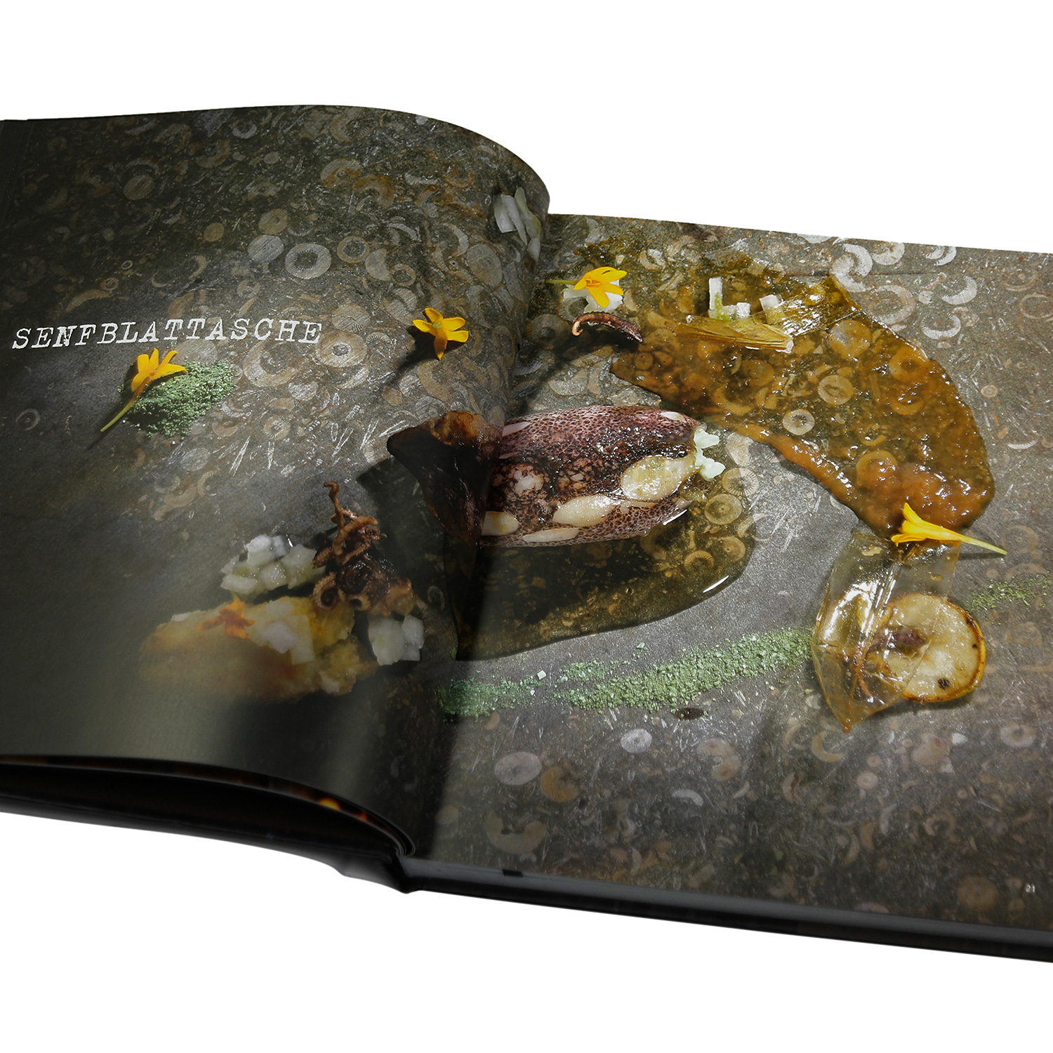 MONOLITH Buch ASCHE, Glut & Feuer MONOLITH Buch ASCHE, Glut & Feuer