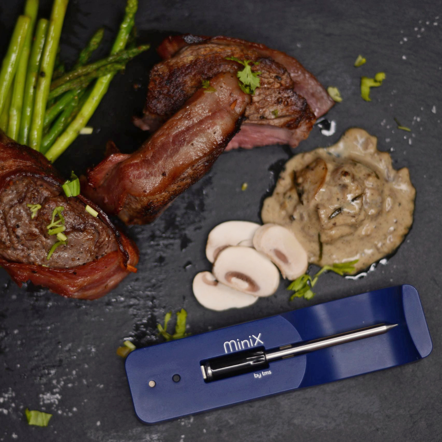 The MeatStick Set 6: The MeatStick Mini inkl. Bluetooth Xtender Ladegerät blau