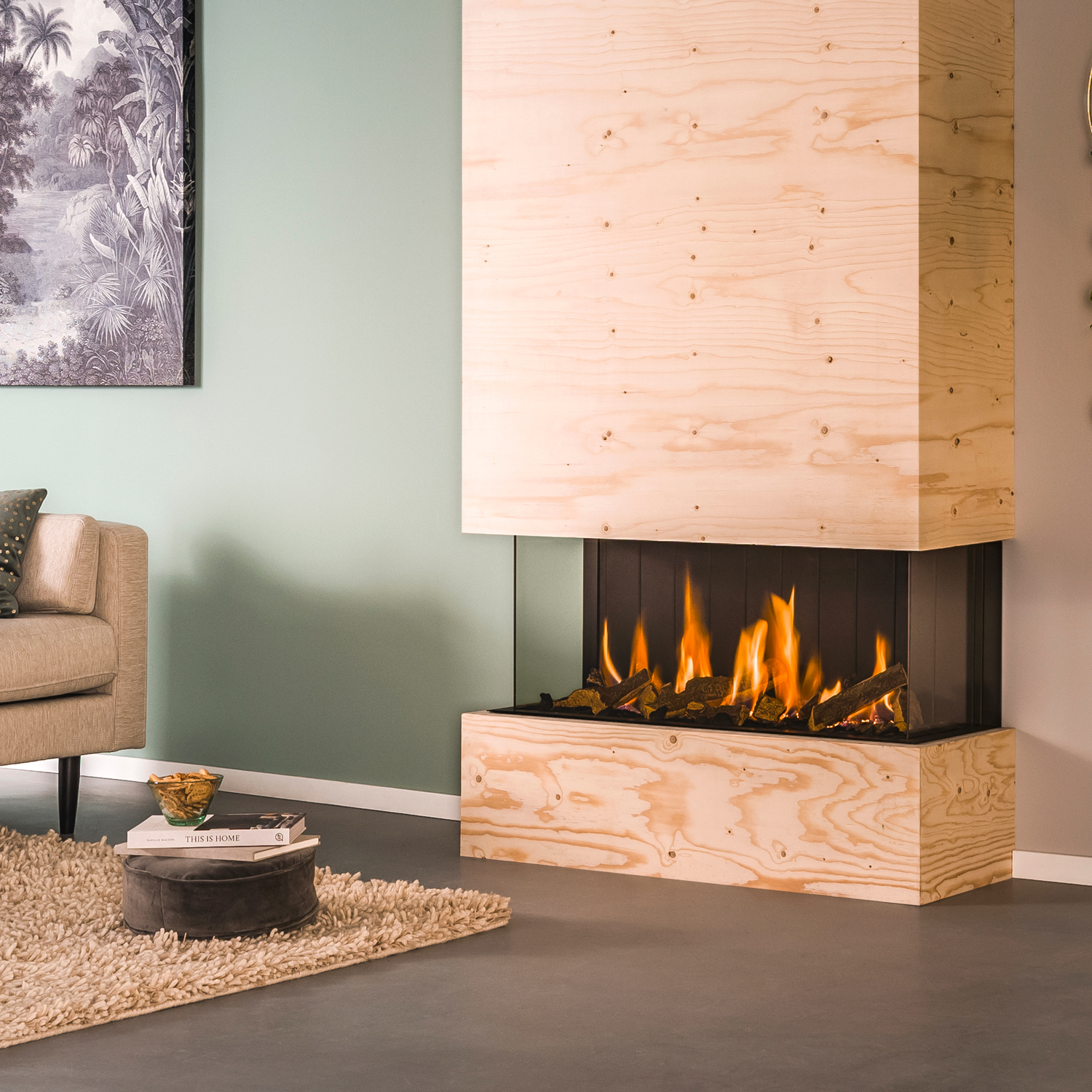 Trimline Fires Trimline 100 Panorama Gas Kamineinsatz G20/G25