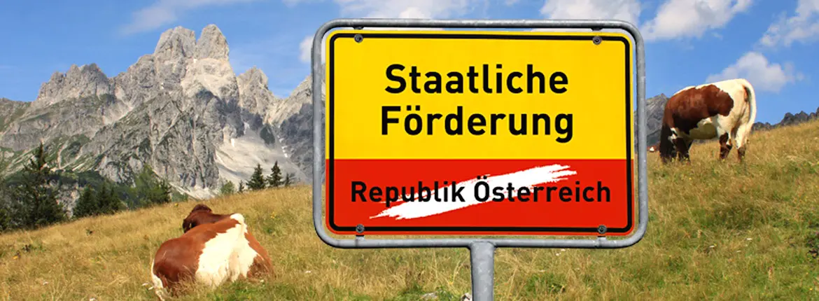 Blog Staatliche Förderungen energieeffizienter Heizungen in Österreich Blog Staatliche Förderungen energieeffizienter Heizungen in Österreich