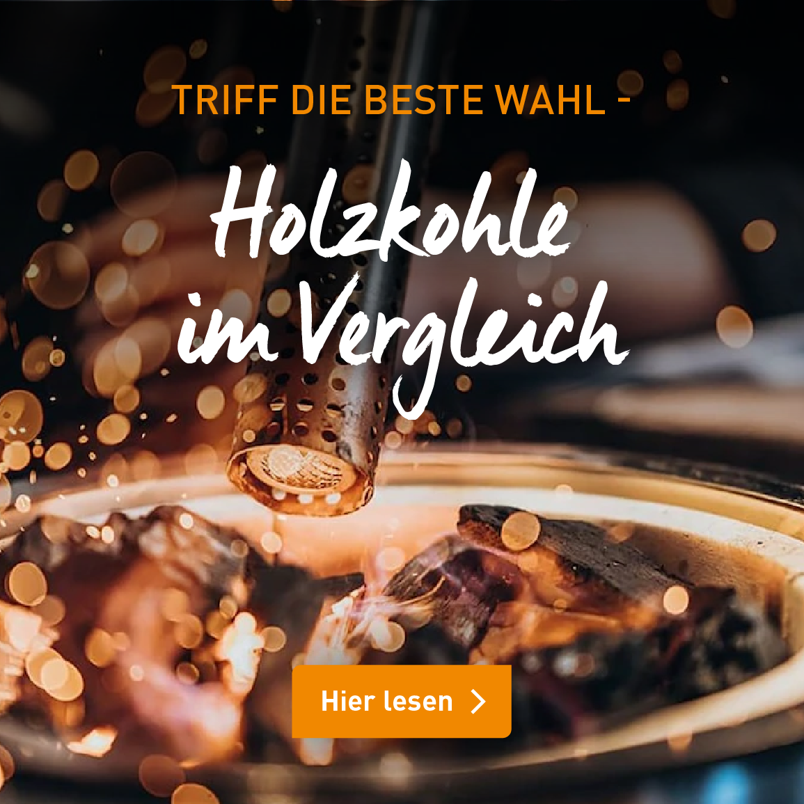 holzkohle-im-vergleich