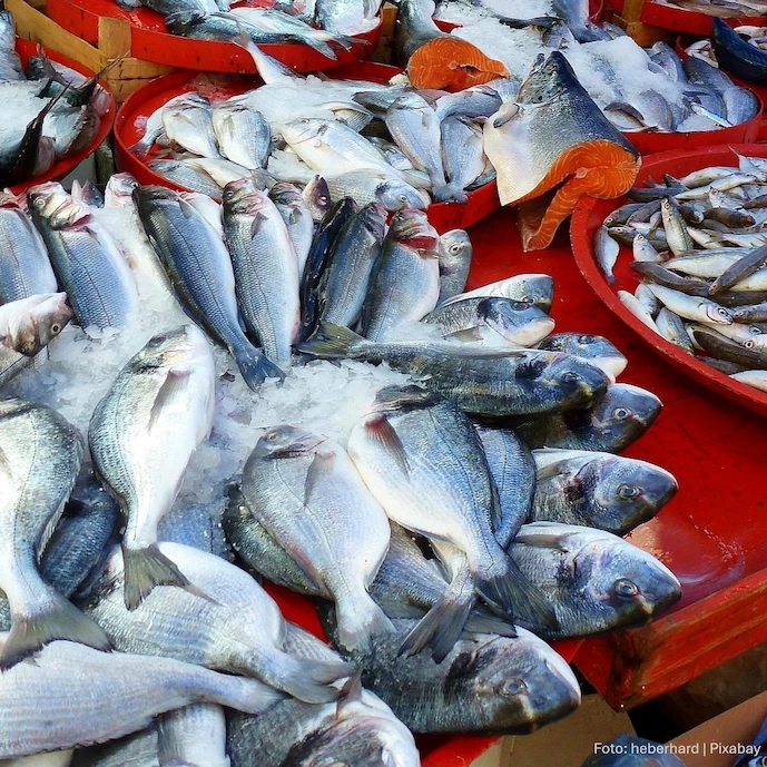 fische-auf-einem-roten-tisch-auf-dem-fischmarkt