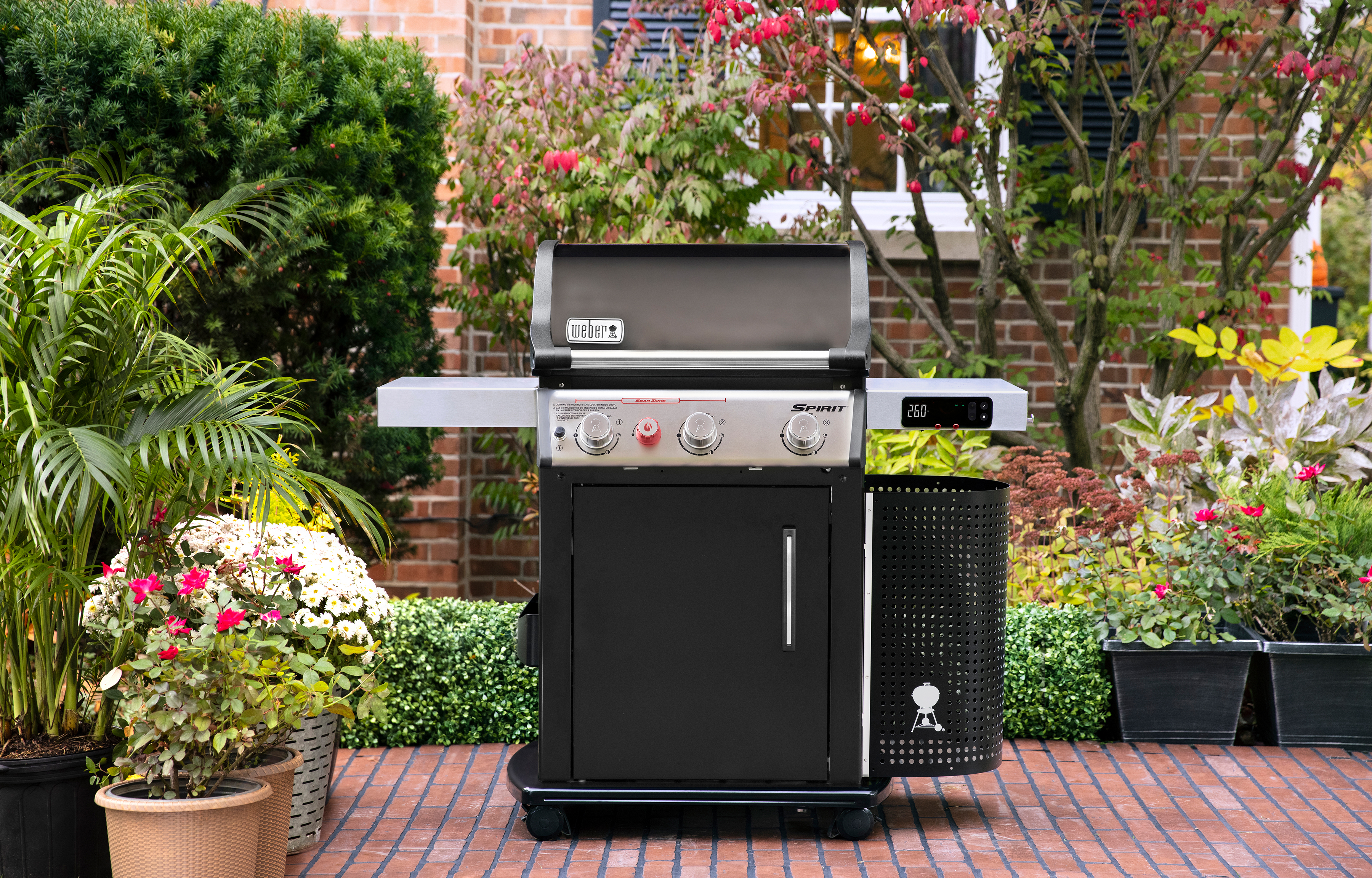 244_Startbild_Dummy_Weber_Spirit_EPX325S