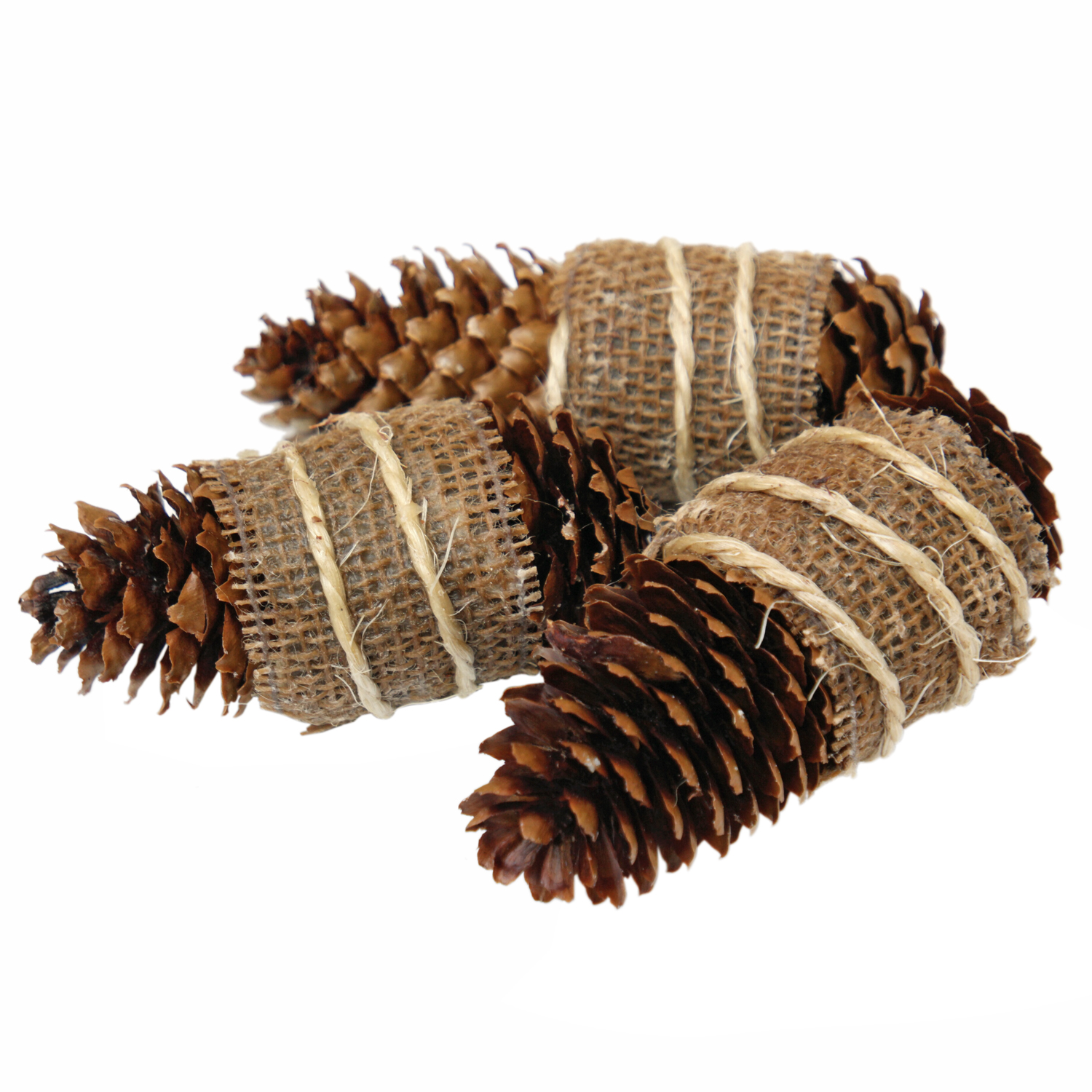 ConeFire Premium Zapfenzünder 10er-Tüte ConeFire Premium Zapfenzünder 10er-Tüte