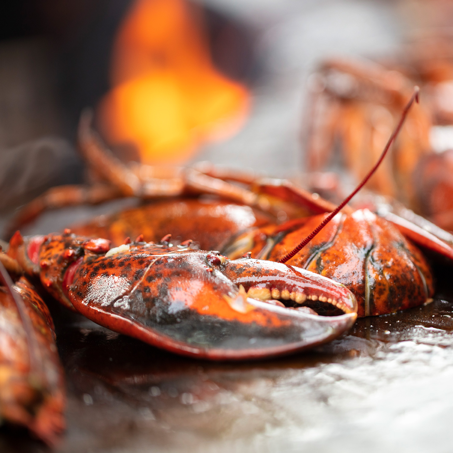 OFYR Island Black 100 Grill & Feuerstelle mit Arbeitsplatte Teakholz OFYR Island Black 100 Grill & Feuerstelle mit Arbeitsplatte Teakholz